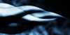 battlebg262