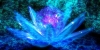 battlebg285
