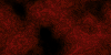 battlebg289