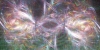battlebg343
