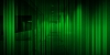 photo009