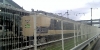 photo045