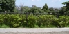 photo098