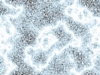 battlebgl057