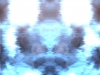 battlebgl252