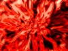 battlebgl283