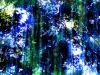 photol019