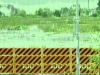 photol046