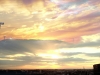 photol081