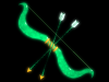 battler025