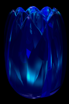 battler116