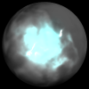 battler181