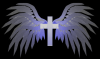 battler256