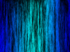 fog024