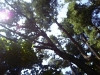 xptitle011