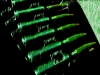 xptitle012