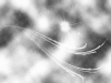 xptitle018