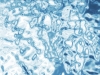 xptitle019