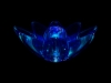 xptitle022