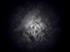xptitle071
