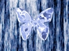 xptitle079