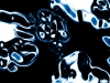 xptitle104