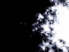 xptitle116