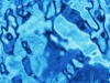 xptitle132