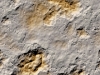 xptitle145