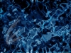 xptitle147