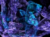 xptitle173