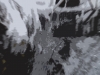 xptitle205