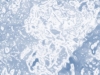 xptitle206
