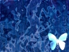 xptitle226