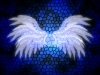 xptitle269