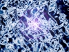 xptitle270