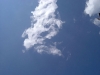 xptitle271