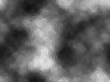 transition006