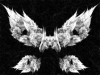 transition041