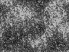 transition045
