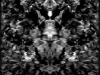 transition052