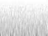 transition065
