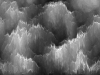 transition073