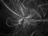 transition086