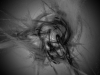 transition088